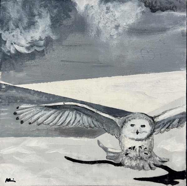 Snowy Landing by Nicki Adani, Image 2.