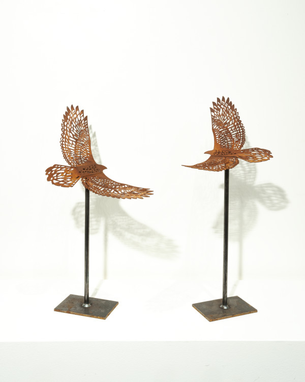 Birds Eye View, Earth - Set 1/9 by Nicki Adani