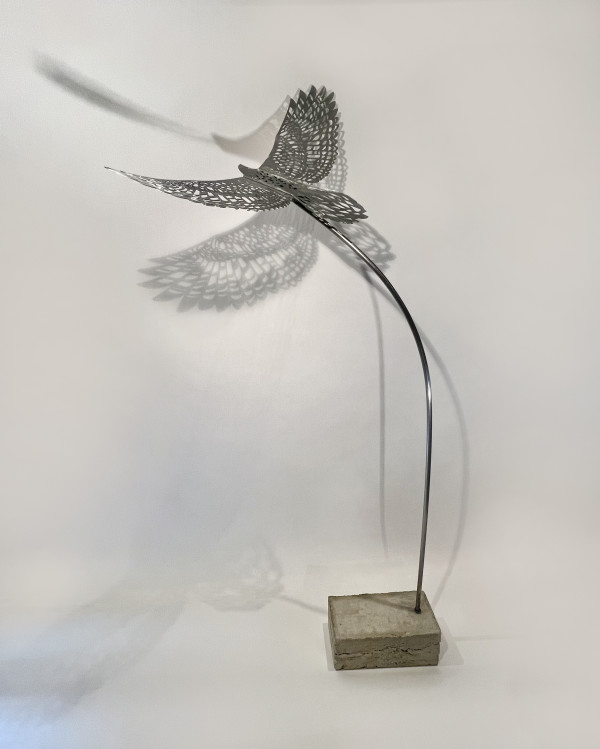Shifting Perspectives #3 by Nicki Adani