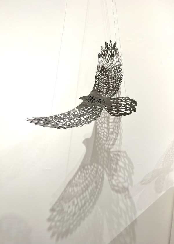Bird's Eye View -  Fly Free, Wind by Nicki Adani