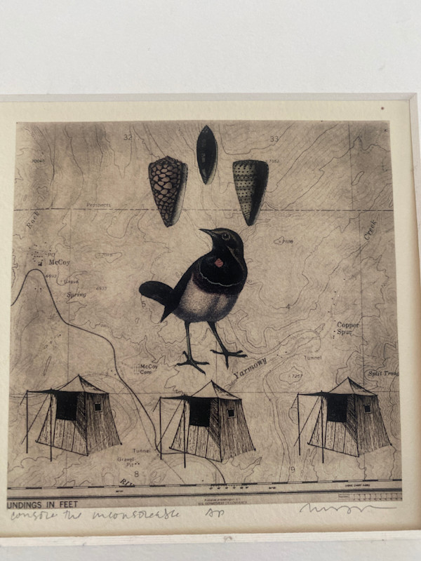 Shell, bird, tent - Solar Etching by Meg (Marguerite) Bernet