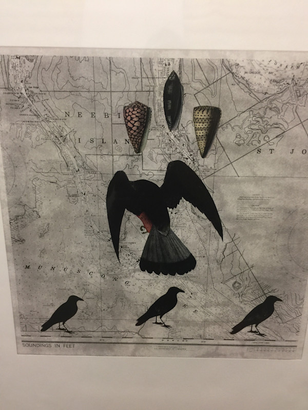 Shell, Bird, Bird - Solar Etching by Meg Bernet