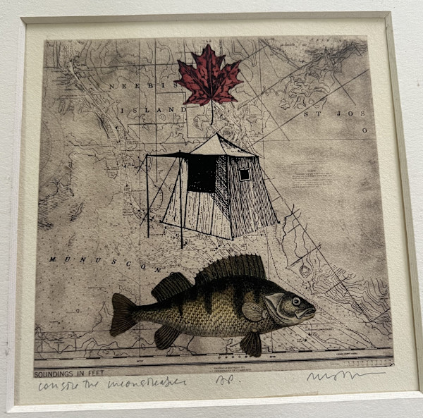 Shell, Tent Fish - Solar Etching by Meg Bernet