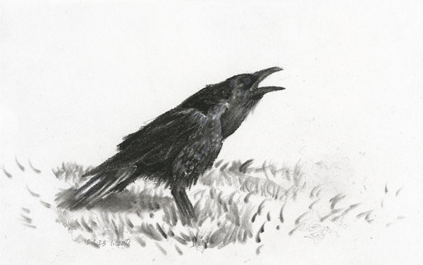 Raven's Call by Laura Center