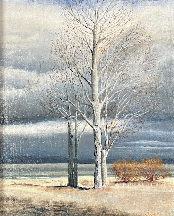 Winter on Summer Lake by Laurie Jo Brain