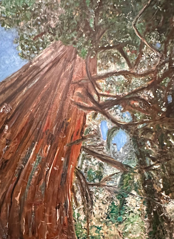 Tangled Elevation by Expedition in Art, Image 1.