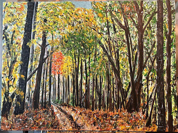 Fall in The Forest by Expedition in Art, Image 1.