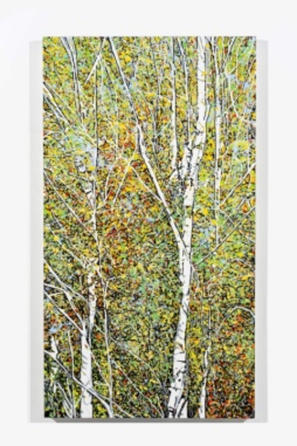 Birch by Leslie Parke
