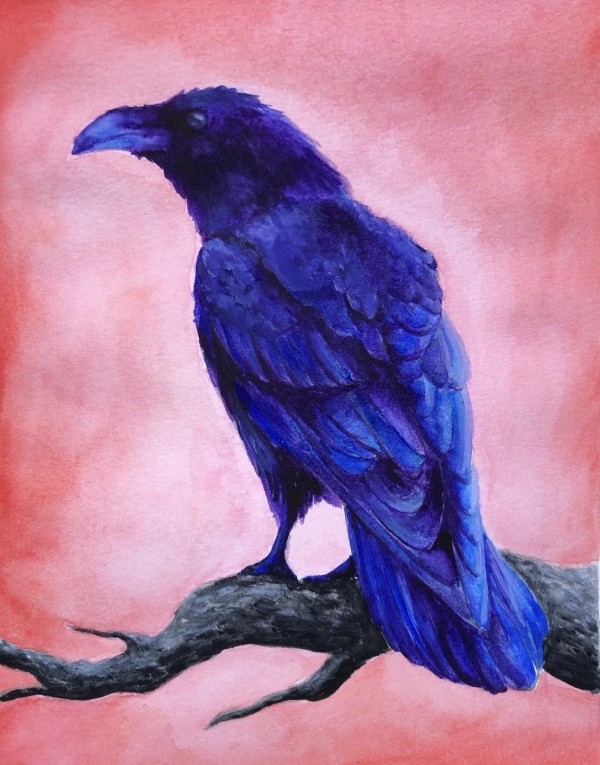 Watercolor Raven Study #2 by Krystlesaurus