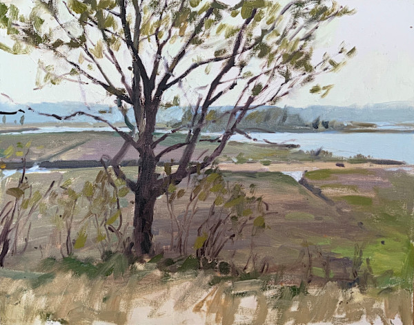 Barn Island by David Bareford, Image 1.