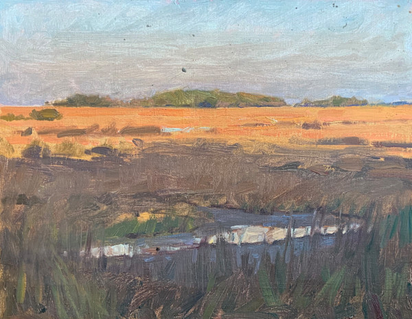 SUNSET OKATIE by David Bareford, Image 1.