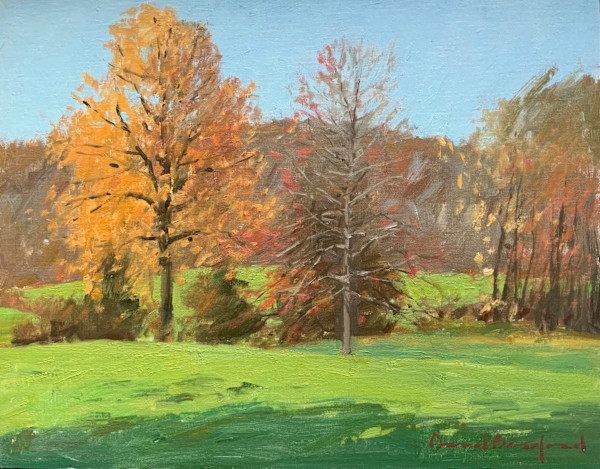 Autumn Colors by David Bareford, Image 1.
