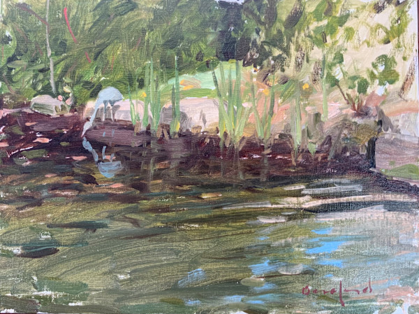 Bronze Ibis at the Garden by David Bareford, Image 1.