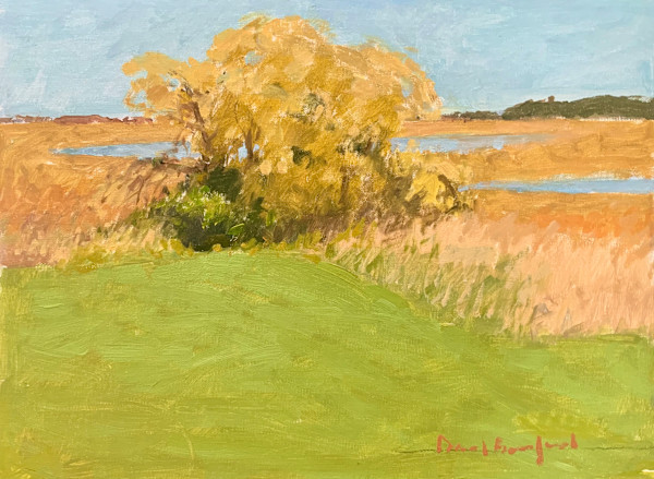 Cox Reservation by David Bareford, Image 1.
