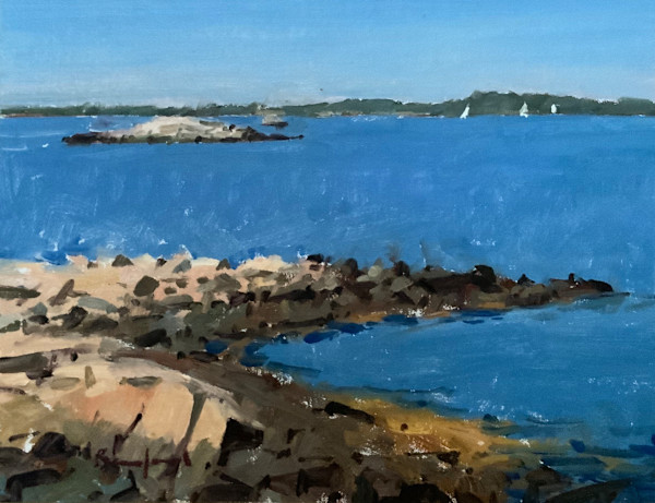 View from the shore by David Bareford, Image 1.