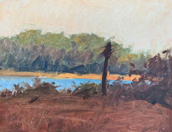 SOUTH CAROLINA by David Bareford, Image 1.