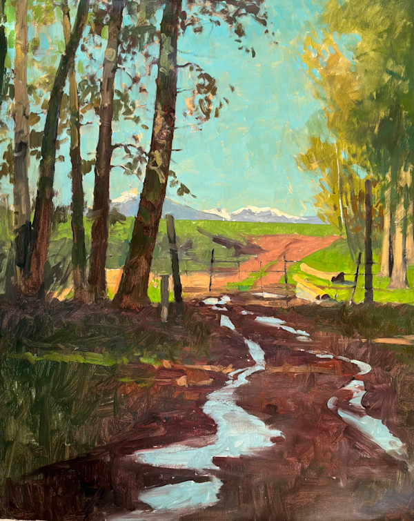 Trees Stream and Mountains by David Bareford