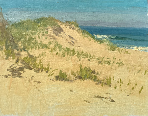 Crane Beach by David Bareford, Image 1.