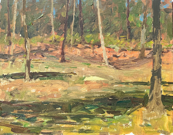 Interior Woods by David Bareford, Image 1.