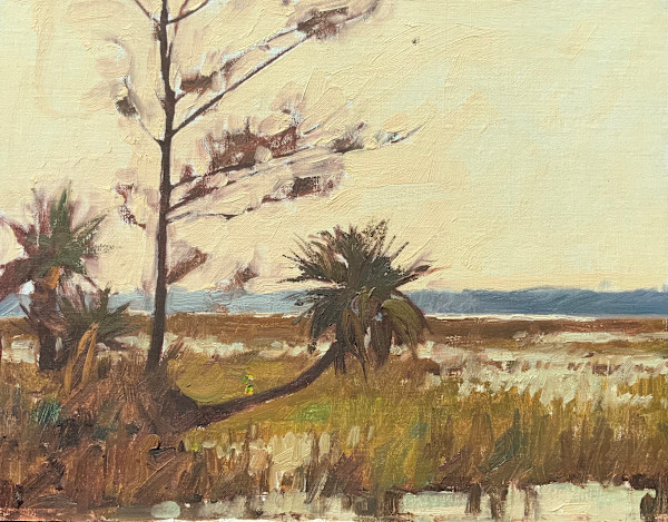 Spring Island by David Bareford, Image 1.
