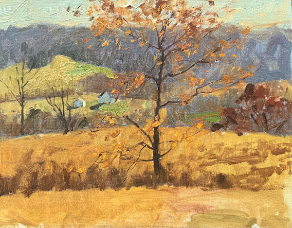 Autumn in Vermont by David Bareford, Image 1.