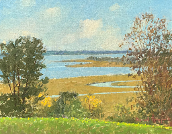 View from Castle Hill by David Bareford
