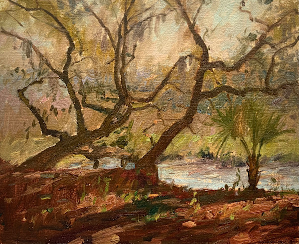 Trees by David Bareford