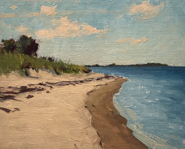 Napa Tree Beach by David Bareford, Image 1.