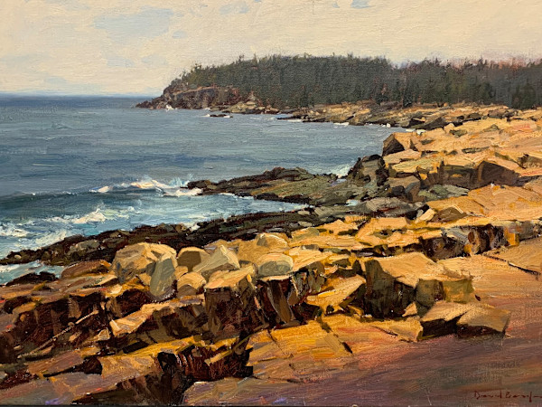 Owl Head Arcadia National Park Maine by David Bareford, Image 1.