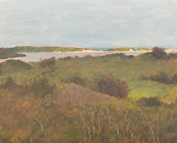 The Pond from a distance by David Bareford