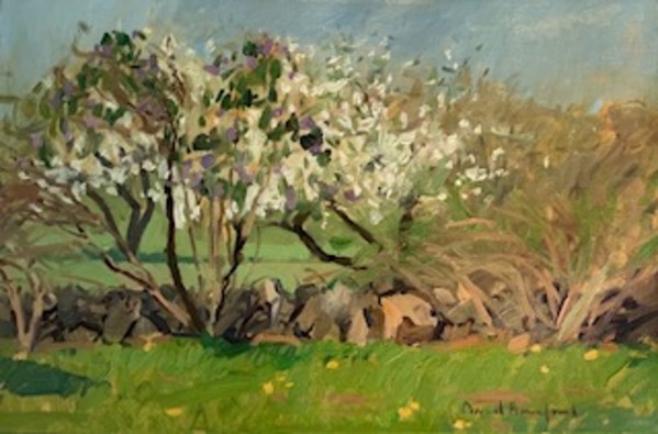 Tree's in Spring by David Bareford