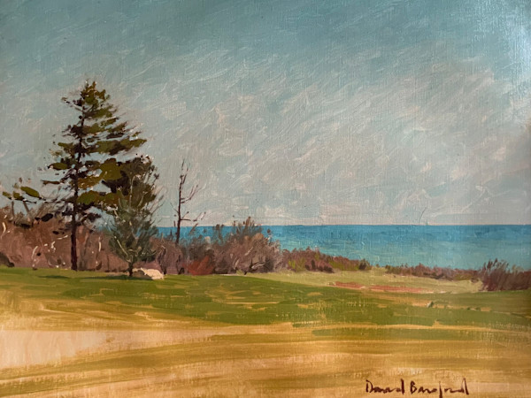 The Overlook by David Bareford