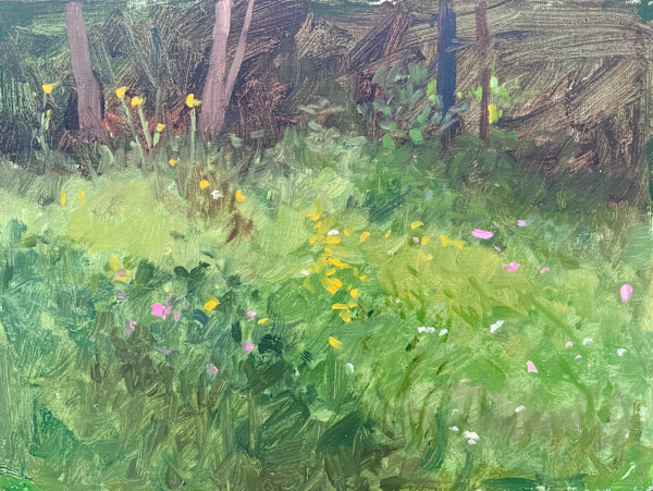Wildflowers in the Woods by David Bareford, Image 1.