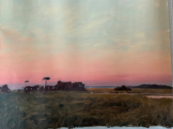 South carolina by David Bareford, Image 1.