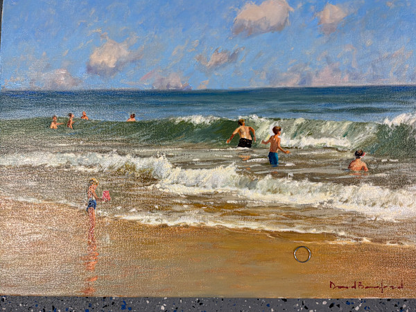 Romping  in the Surf by David Bareford, Image 1.
