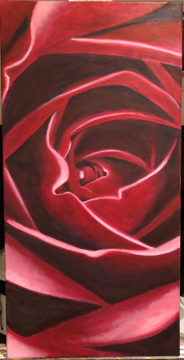 Fuchsia Rose by KateSimmonsArt