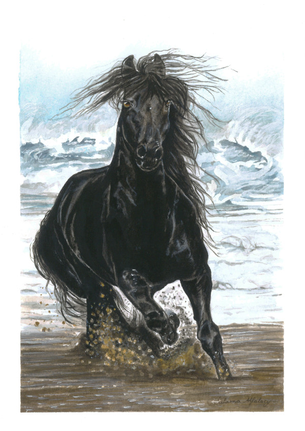 Black Horse by Salama 
