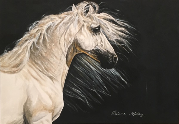 White Arabian by Salama 