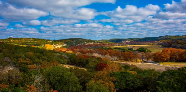 Hill Country Vibrance by teak elmore