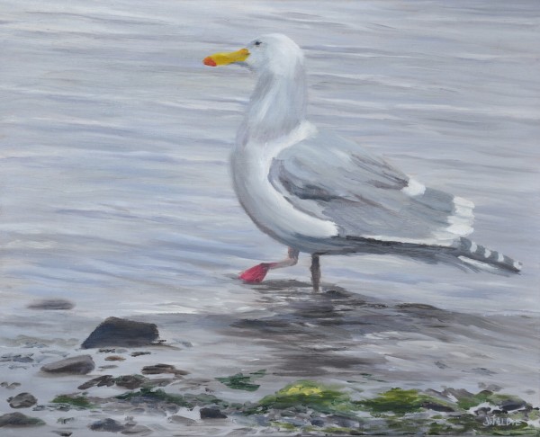 Grey Gull on a Grey Day by Jody Waldie