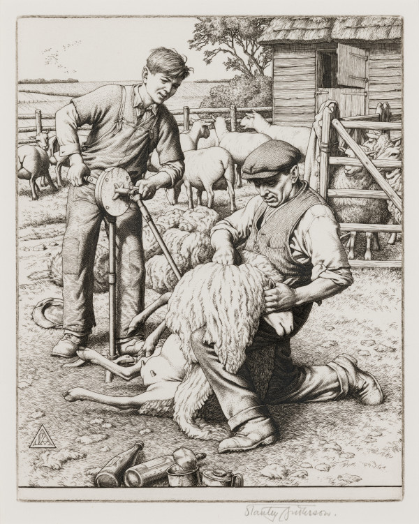 Sheep Shearing by Stanley Anderson