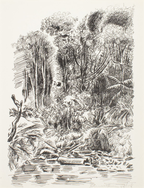 Jungle by Tobias Schneebaum