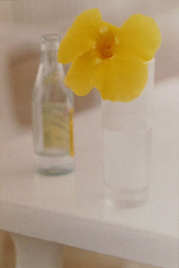 Yellow Flower, St. Barts by Ralph Gibson