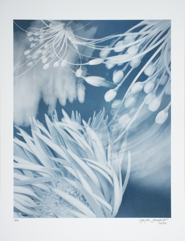 Gerbera Daisy & Wildflowers by Joyce Tenneson