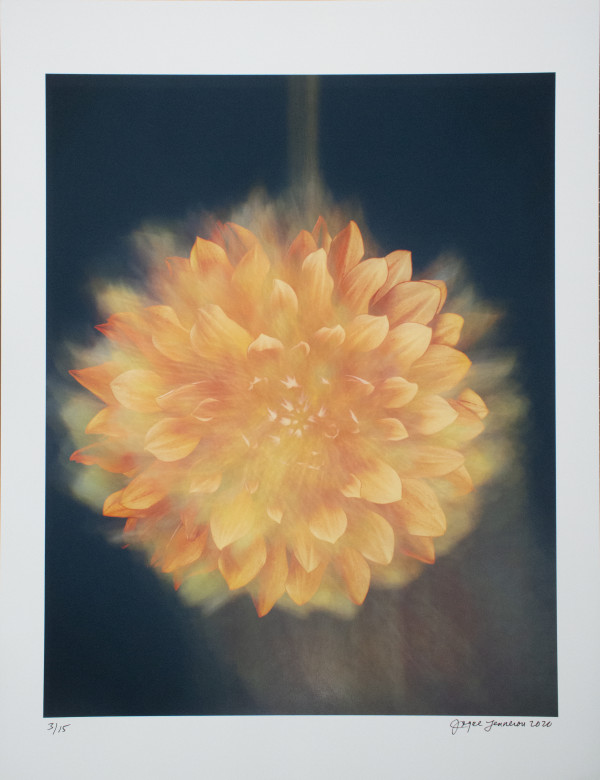 Sun Dahlia by Joyce Tenneson