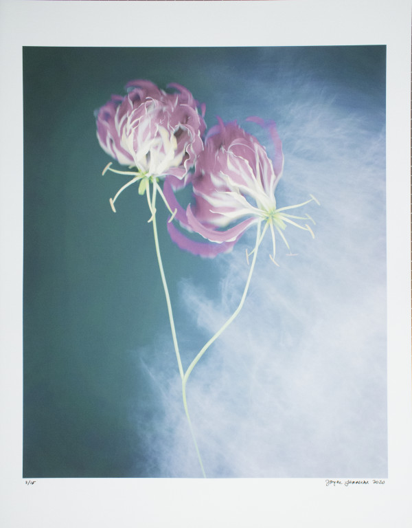 Flame Lilies by Joyce Tenneson