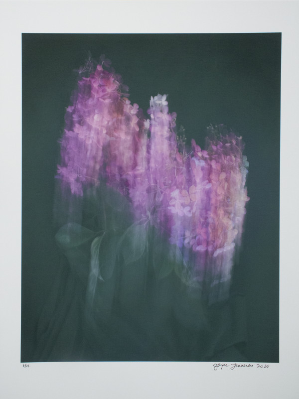 Hydrangeas by Joyce Tenneson