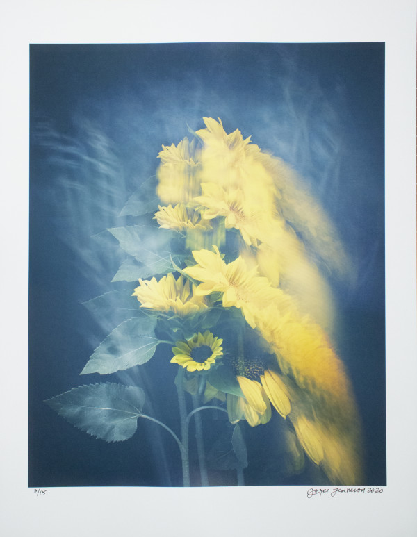 Sunflowers by Joyce Tenneson