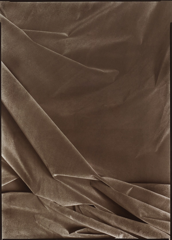 Iris Print by James Welling
