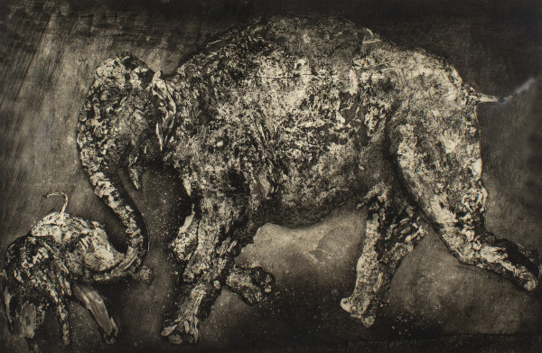 The Elephant by John Talleur